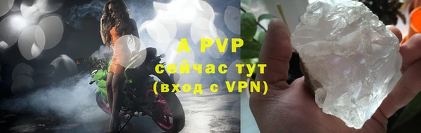 прущие грибы Балахна