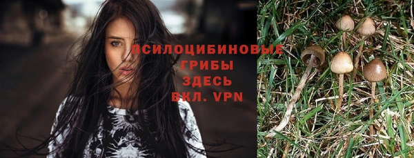 гашик Балабаново