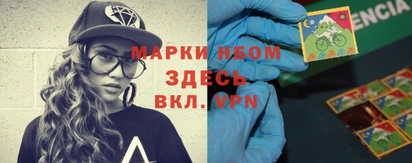 прущие грибы Балахна